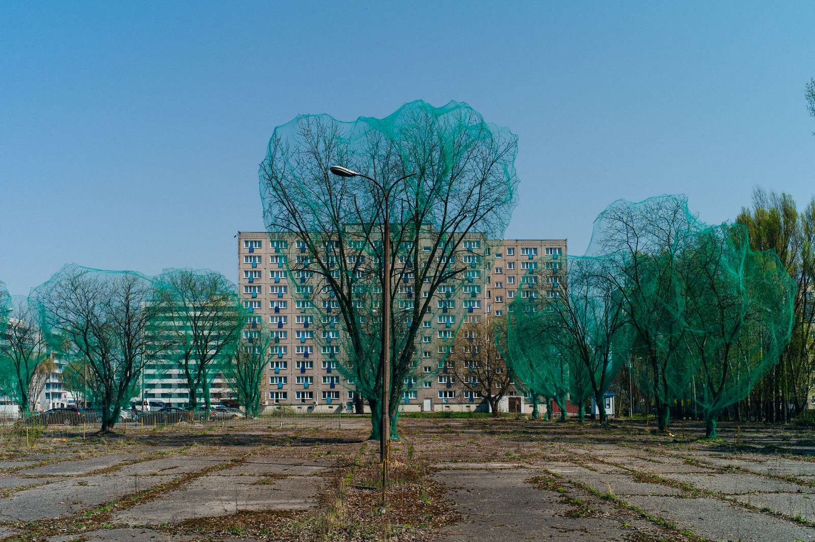 Miasto jako laboratorium